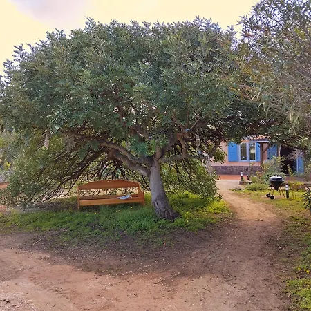 Gypsy Terramare Appartement *