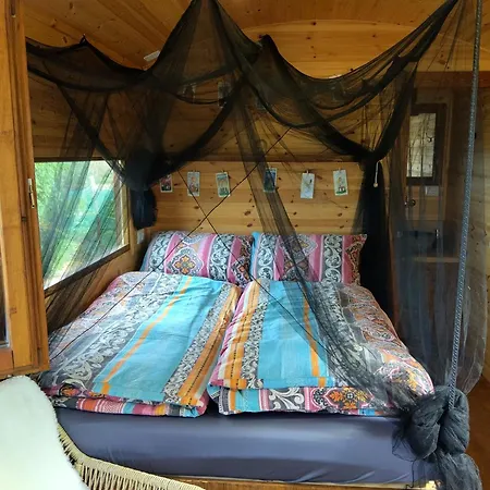 Gypsy Terramare 瓦雷多利亚